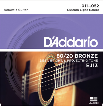 D'Addario EJ13